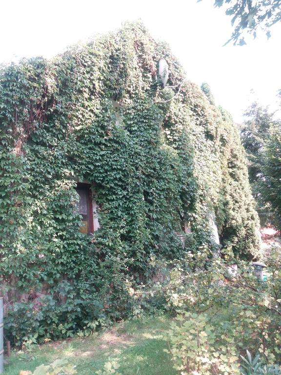 Pension Jana Tatrovice Exterior photo